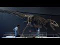 Dinosaur exhibit opening at Science Museum of Virginia