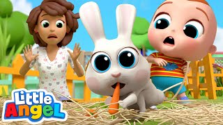 Class Pet Song | Little Angel Kids Songs & Nursery Rhymes