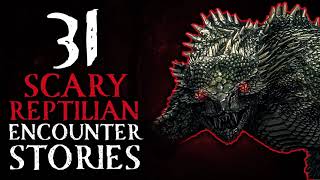 31 SCARY REPTILIAN & SWAMP CRYPTID ENCOUNTER STORIES - ATTACK OF LIZARD MEN