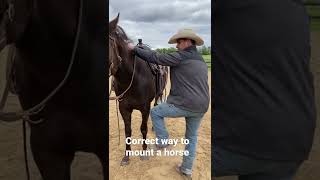 How to Mount Correctly 😂