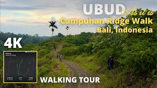 Bukit Campuhan ridge walk. Ubud, Bali, Indonesia: 4K Virtual Walking Tour |  bali travel guide