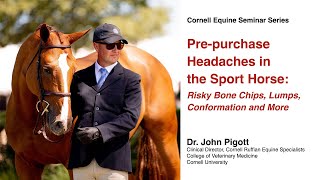 Pre-purchase Headaches in the Sport Horse (Cornell Equine Seminar Series, April 2023)