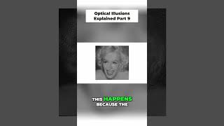 Perception Merged: Einstein and Monroe Illusion