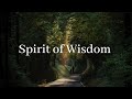 Spirit of Wisdom - Apostle Selman Joshua | ADULLAM | DEEP SPIRITUAL Prayer & Meditation Music