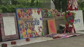 Highland park activists, survivors to rally in Springfield