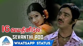 Sevanthi Poo Whatsapp Status | 16 Vayathinile Tamil Movie Songs | Kamal Haasan | Sridevi | Ilayaraja