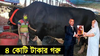 হাট কাঁপানো সেরা গরু | বাংলাদেশের বড় গরু | ২০২২ কোরবানি ঈদের গরু | Cow Price in Bangladesh 2022 P-5