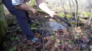 detecting ohio videos