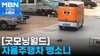 [굿모닝월드] 강아지 치고 뺑소니 [굿모닝 MBN]