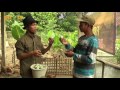Download INGON - INGON - Peternak Bebek Magelang Part 3/3 In Mp4 3Gp Full HD Video