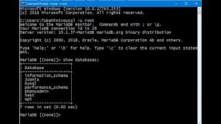 Connect to MySQL through Command Prompt CMD - Windows 10