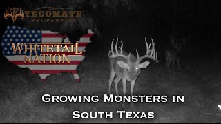 Growing Monsters in South Texas