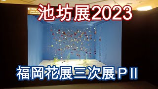 池坊展2023　福岡花展　第三次展ＰⅡ　Ikenobo Exhibition 2023