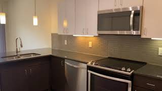 1 BEDROOM | A1.1 FLOOR PLAN | 667 SQFT | MODERN COLOR SCHEME | *YARD