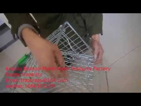 How to Bait a Rabbit Trap/animal trap How to Bait a Rabbit Trap/animal trap