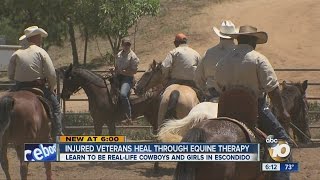Injured veterans heal through equine therapy