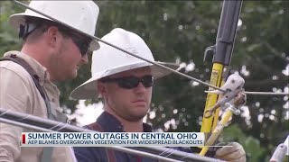 Plants blamed for AEP Ohio's summer power outage that affected thousands