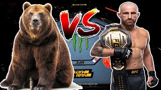 VS Battle UFC Alexander Volkanovski Vs Bear