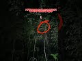 Misteri kuntilanak  merintih di hutan angker  #penampakan #angker #kuntilanak #misteri