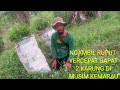 NGAMBIL RUMPUT TERCEPAT DAPAT 2 KARUNG