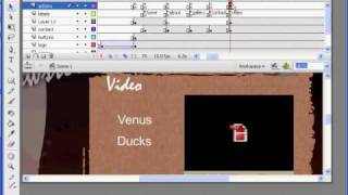 How to Build a Flash Website 25 -Loading Flash Video 3