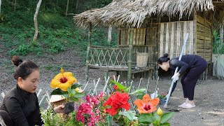 Complete the flower garden of life in the forest, the beautiful flower Trinh Ha - Daily Life