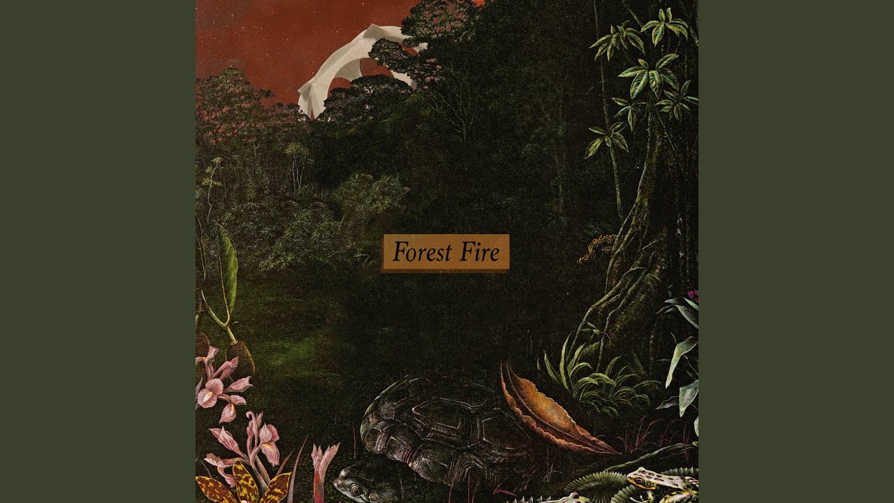 Forest Fire Youtube Music