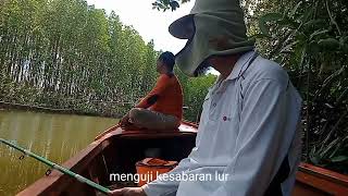 mancing di sungai mangrov Aceh jaya di kawanin dua ustad...