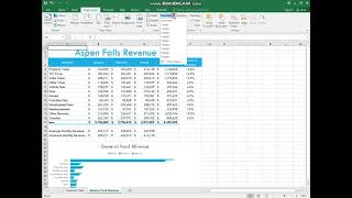 Exl02_SRRevenue - Step 16 and 17 - Computers for Professionals Excel Chapter 2