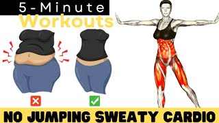 5 Minute FAT BURNING CARDIO Workout at Home | NO JUMPING | Women & Ladies
