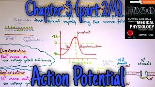 Action potential - chapter 5 (part 2/4) - Guyton and hall text book of medical physiology.