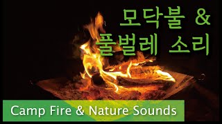 모닥불과 풀벌레 소리 _ 캠프 화이어 _ 장작 타는 소리_Camp Fire & Nature Sounds _ ASMR