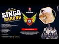 SINGA BARONG || SEWU SIJI VOC. NADIA AIKO || 03 NOVEMBER 2024 || ARJASARI - PATROL - IM