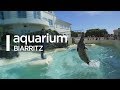 Aquarium de Biarritz : Présentation