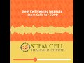 Stem Cell Healing Institute   Stem Cells for COPD