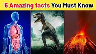 5 Most amazing facts 😱 It's Fact | Factz Mation | Mr Factpur