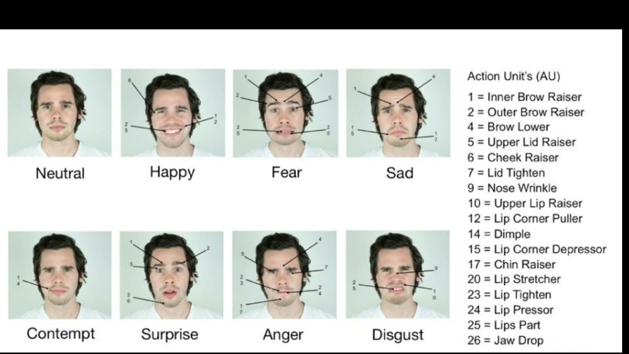 What Is The Facs System A Guide To Reading Microexpressions