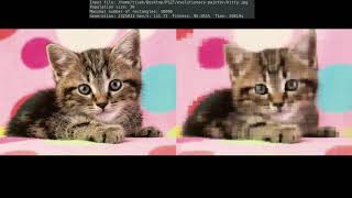 Genetic algorithm - evolving pictures