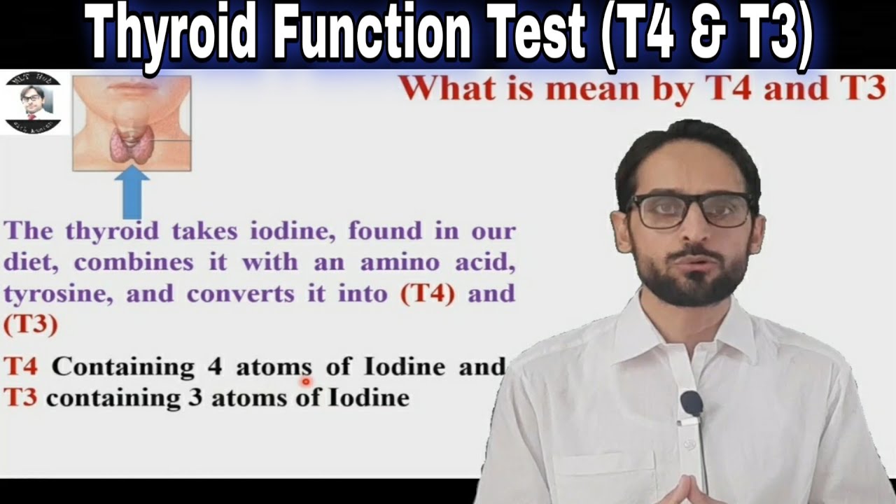 Thyroid Function Test | T4 And T3 | Free T4 And Free T3 - YouTube