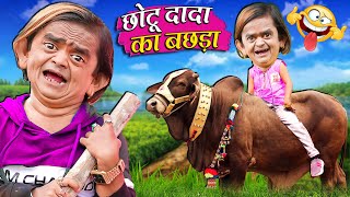 CHOTU DADA KA BACHDA | छोटू दादा का बछड़ा | Khandesh Comedy | Chotu Dada New Comedy Video 2023