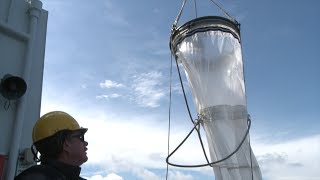 Plankton sampling on Aranda