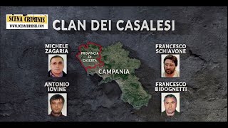 Il Clan dei Casalesi, la mafia della provincia di Caserta da Antonio Bardellino a Michele Zagaria