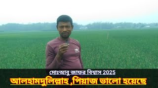 আলহামদুলিল্লাহ পিঁয়াজ ভালো হয়েছে ২০২৫ মোঃ আবু জাফর বিশ্বাস