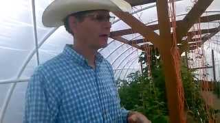 GeoThermal Greenhouse Works! LDSPrepper Tour Part 1