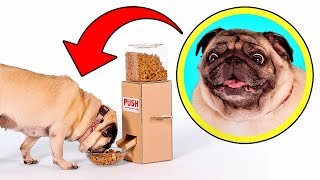 Simple and Convenient: DIY Dog Food Dispenser