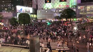 Shibuya Scramble Crossing 渋谷駅前スクランブル交差点