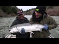 Quinault River Broodstock Winter Steelhead