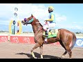 JOCKEY DEVON A THOMAS POWERS DODGE THIS LINK TO VICTORY (CAYMANAS, SAT, FEB 11, 2023) 5th