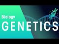 Microbial Genetics Video 1