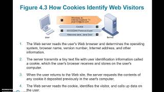 Chapter 4 Module 3